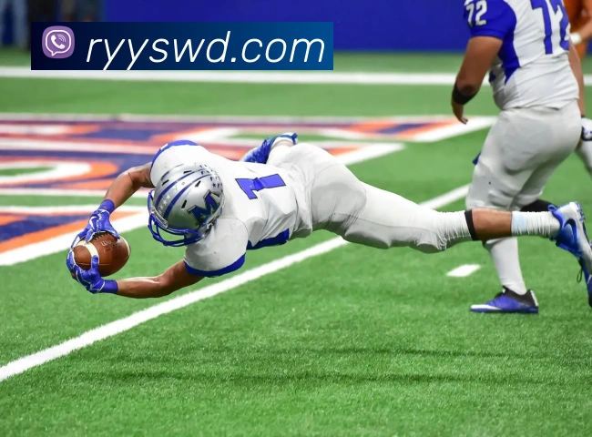 多媒体互动体验